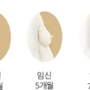 생명의 시작 이미지