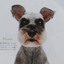 강아지 정거장 이미지