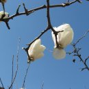 제15회 대구건축박람회 이미지