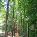 대전샘머리초등학교 이미지