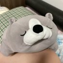 너덜너덜해진 나를 위한