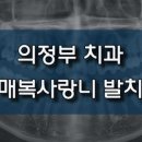 진플란트치과의원 이미지