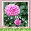 모임파크 이미지