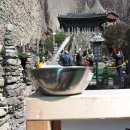 마이산청소년야영장 이미지