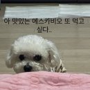 라지독스 이미지