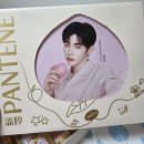 이 샴푸 쓰면 장하오처럼 풍성충 될 수 있나요? 팬틴 PANTENE 장하오 세트 타오바오 직구 후기