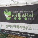 반야design 이미지