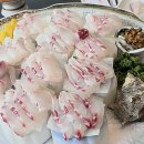 제주도 중문 횟집 추천 대포항 오션뷰 맛집 해송횟집 구문쟁이 코스 후기