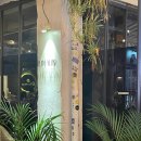 보성여중고입구 버스정류소 | ✨ 해방촌의 밤을 밝히는 이국적인 와인바, &#39;방방 (VIN VIN)&#39;: 완벽한 휴식과 미식의 조화 ✨