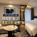 대왕판교로606번길 | 하얏트 플레이스 서울 판교 객실 후기｜판교역 위치는 최고, 호캉스는 글쎄?