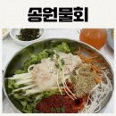 송원 - 670 | 부산 로컬맛집 - 송정 송원물회 내돈내산 솔직후기