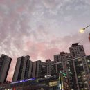 취업준비실무(파워포인트) | 사자산기 자격증 컴활1급 차이 + 후기 취업에 더 도움 되는 건?