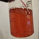 아시아에너지 유한책임회사 | 액티바이즈 먹는법 섭취 후기와 카페인 정리