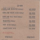 제주거멍돗 - 사천시 | 제주거멍돗