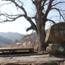 종생농장 이미지