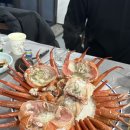 정비아재 | [강원 속초] 최선정맛집 아재맛집 수율좋은 홍게맛집 장사항홍게사랑 내돈내산 찐만족 후기