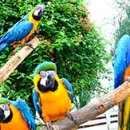 대전오월드 이미지