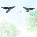 차대훈행정사무소 | 사가현(佐賀県) 치리쿠 하치만구(千栗八幡宮) 방문 후기