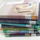 늘푸른소나무도서관 이미지