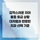 덴티크치과기공소 | 갑작스러운 치아 통증 응급 상황 대처법과 현명한 치과 선택 기준