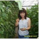 용규농장 이미지