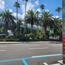 낯선하루 | 제주도 게하 낯선하루 후기