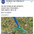 전역했는데 행보관이 일당 10만원 준다고 예초 알바시킴...jpg 이미지