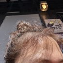 라성호텔 맞은편 | 염색 맛집 안산미용실 머리하는진 방문 후기