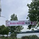 코스모스악기 | [일상] 2025 구리 코스모스 축제 방문후기