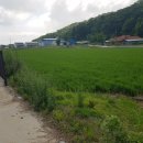 삼산면-2 이미지