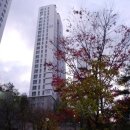 동화길-1 이미지