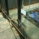 광명세차장 이미지