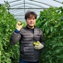 허들농장 이미지