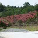 동호농장 이미지