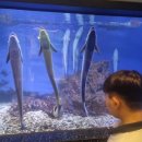 수산과학관 전시관 1층 화장실 이미지