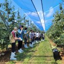 햇빛농장 이미지