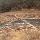 낙동중학교 이미지