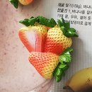 6675 이미지