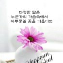 커피(coffee) 이미지
