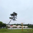 울타리2호점 | [충남/태안]애견글램핑•펜션 “파라독스” 후기!ᰔ