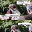 금주약국 이미지