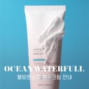 주식회사 오션 | 에끌라뒤땅 오션 워터풀 크림 (해수크림) 후기 및 공구 안내