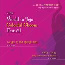 2012 World in Jeju colorful CHOOM festival 이미지