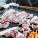 다인뒷고기 이미지