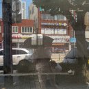몽도날드 네이버블로그
