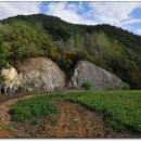 스트로마톨라이트 이미지