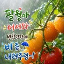 팔월아 반갑다 이미지