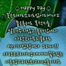 해피데이 이미지