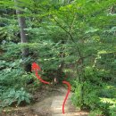 청량농협하나로마트율리지점 | 울산 문수산 등산코스 (하나로마트 청량농협율리점 / 초장골 출발 &gt; 깔딱고개 &gt; 문수산 정상) 미세 팁...