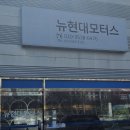 뉴현대모터스 이미지